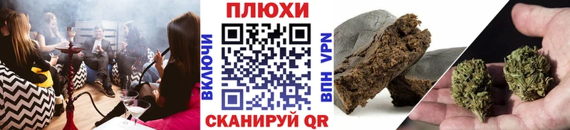как найти   Западная Двина  Гашиш индика сатива 