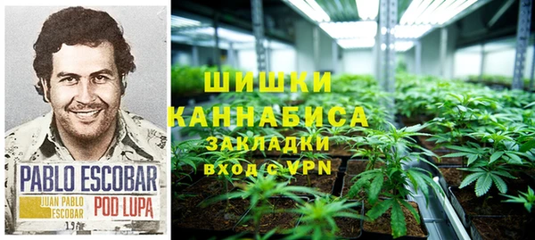 молекула духа Балабаново