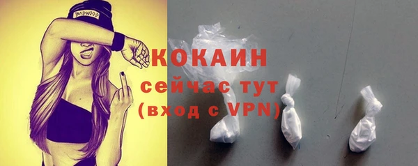 шишки Баксан