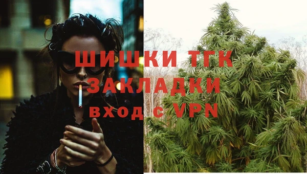 шишки Баксан