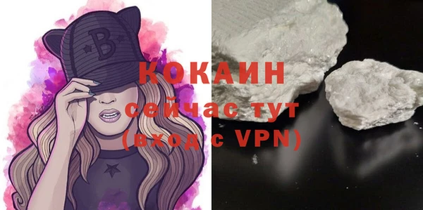 шишки Баксан